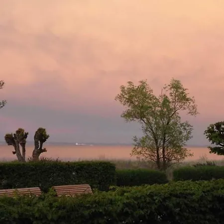 Duenen-residenz A 20 제바트헤링스도르프